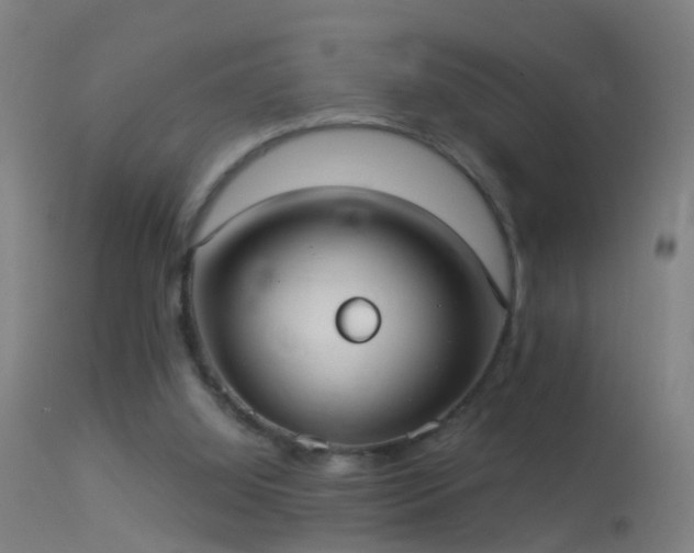 X0000114130060200910151555