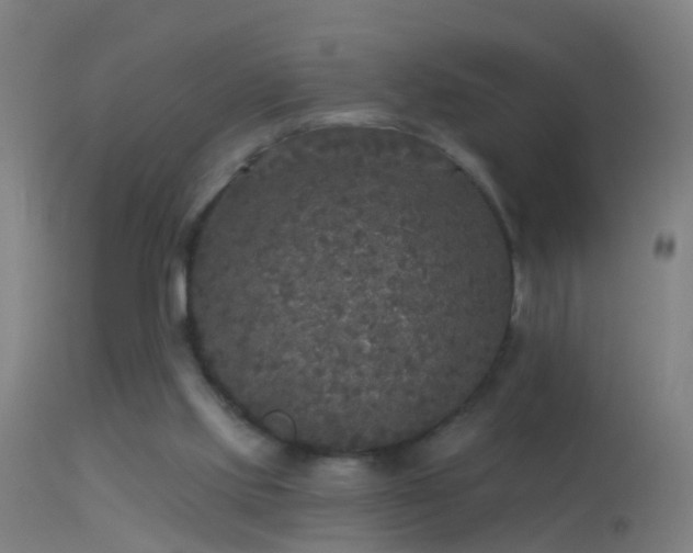 X0000114130061200910151555