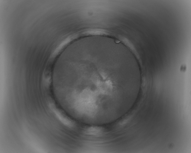 X0000114130063200910151555