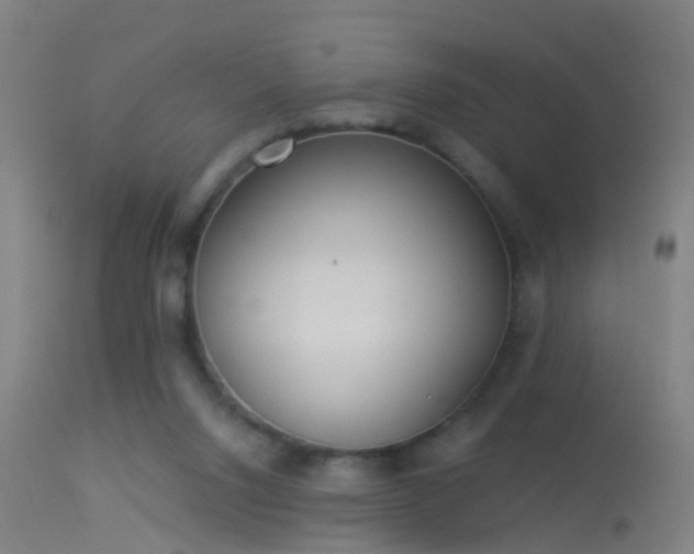 X0000114130064200910151555