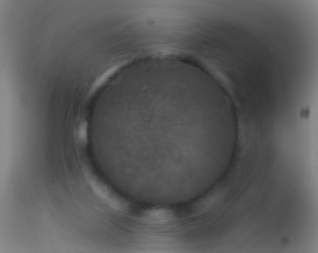 X0000114130067200910151555