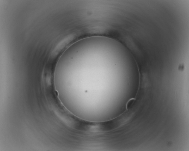 X0000114130068200910151555