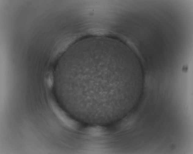 X0000114130069200910151555