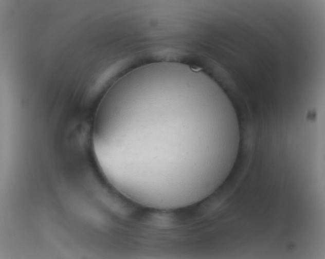 X0000114130071200910151555