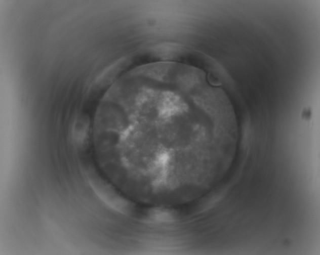 X0000114130073200910151555