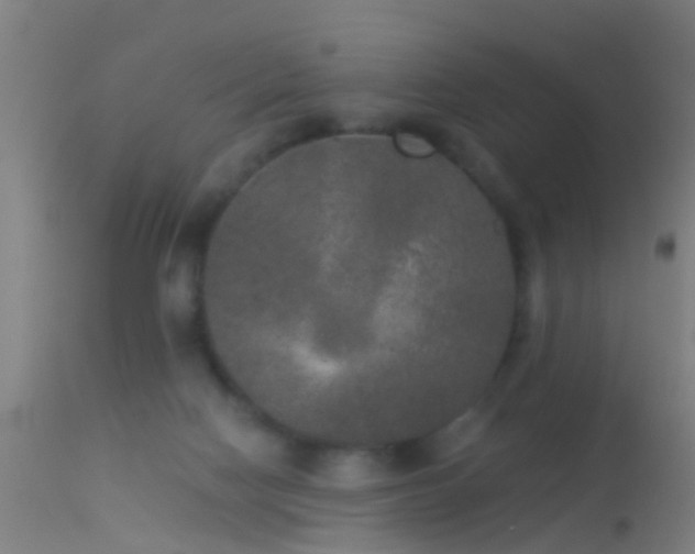 X0000114130074200910151555