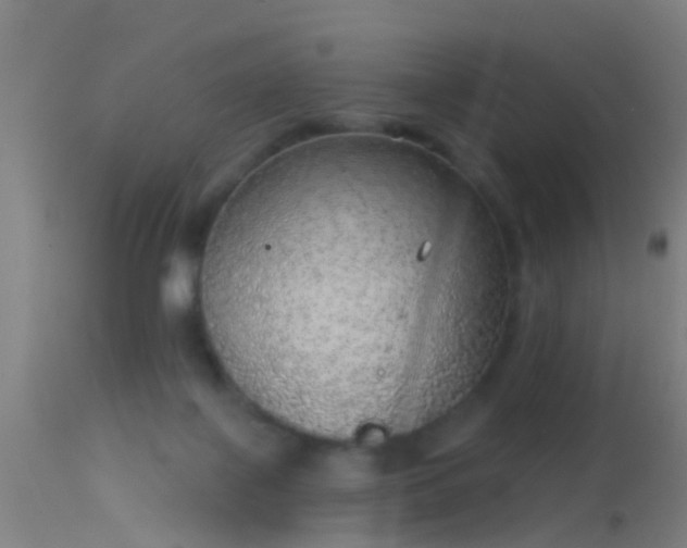 X0000114130075200910151555