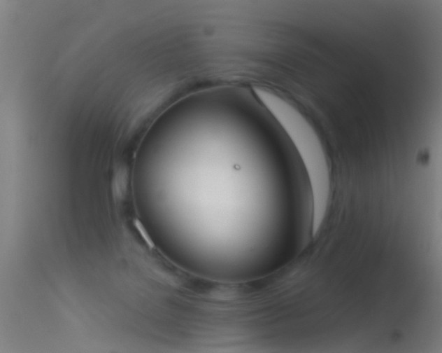 X0000114130076200910151555