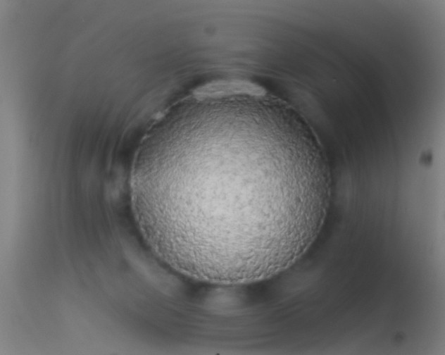 X0000114130077200910151555