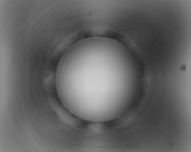 X0000114130079200910151555