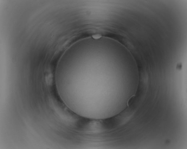 X0000114130080200910151555