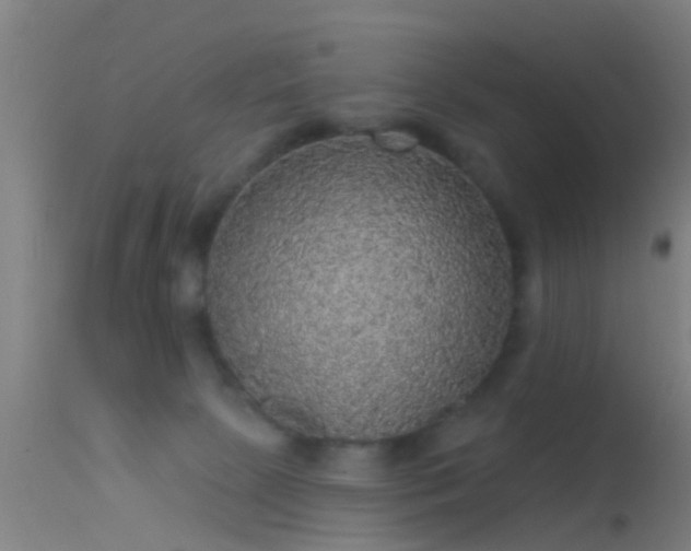 X0000114130081200910151555