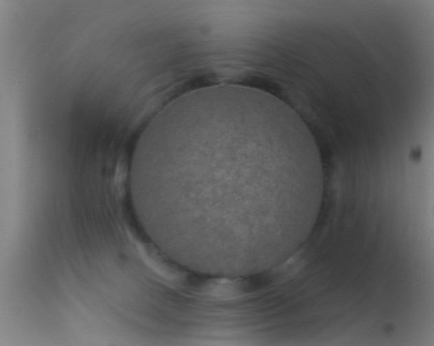 X0000114130082200910151555