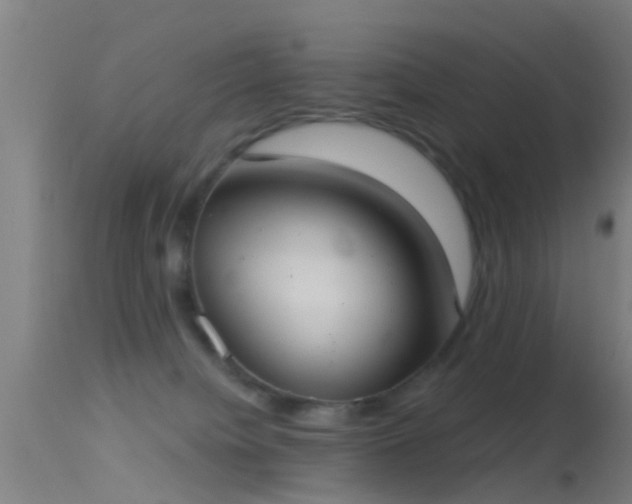 X0000114130084200910151555