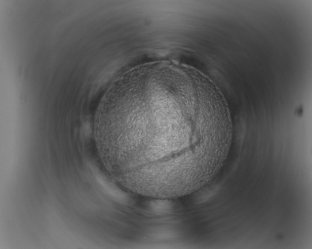 X0000114130085200910151555