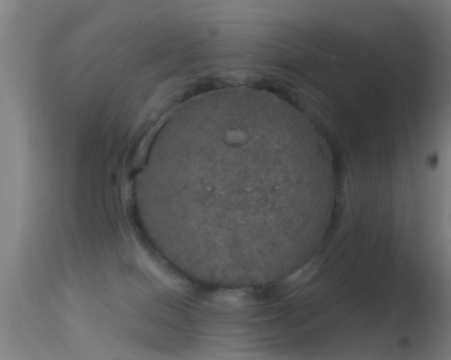 X0000114130086200910151555