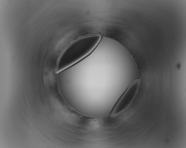 X0000114130088200910151555