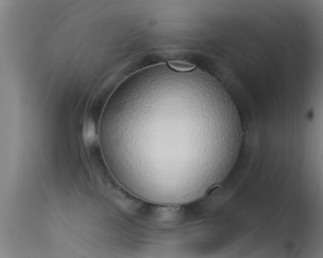 X0000114130089200910151555