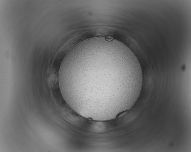 X0000114130091200910151555