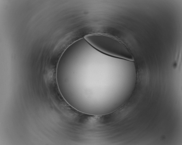 X0000114130092200910151555