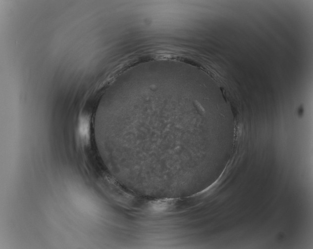 X0000114130094200910151555