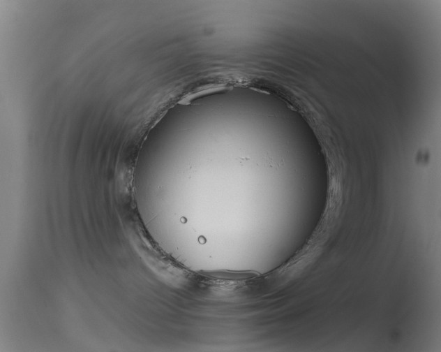 X0000114130096200910151555