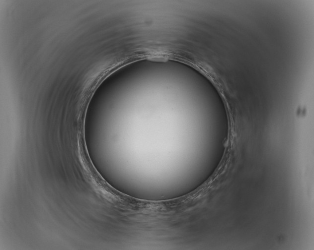 X0000114130097200910151554