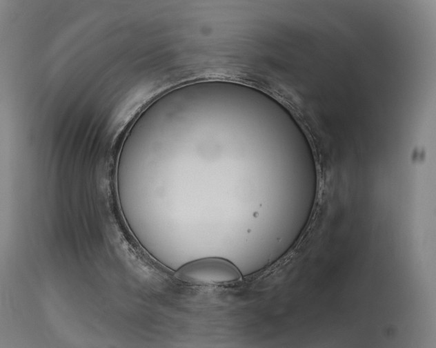 X0000114130098200910151554