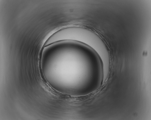 X0000114130100200910151554