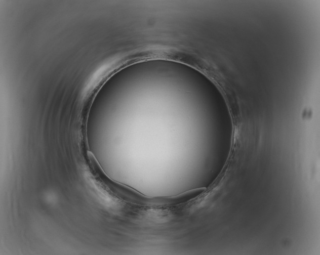 X0000114130101200910151554