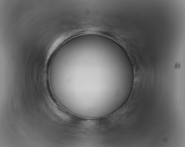 X0000114130102200910151554