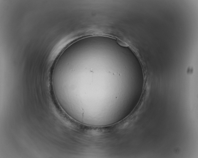 X0000114130103200910151554