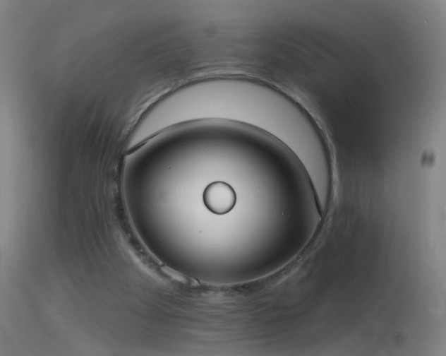 X0000114130105200910151554