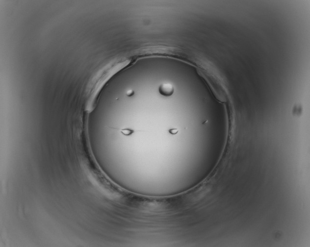 X0000114130107200910151554