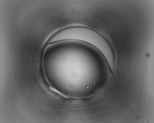 X0000114130108200910151554