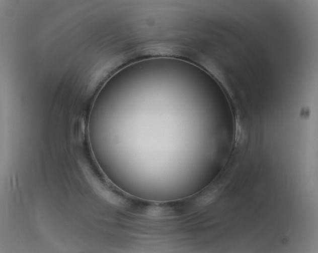 X0000114130109200910151554