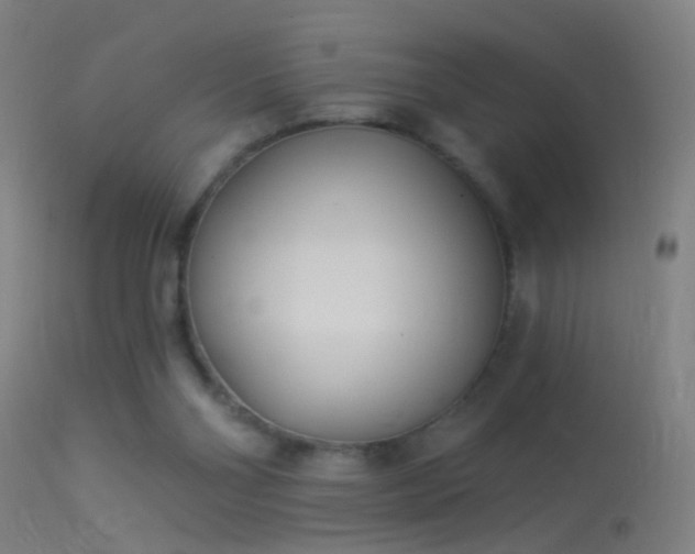 X0000114130110200910151554