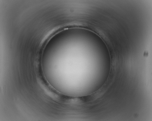 X0000114130112200910151554