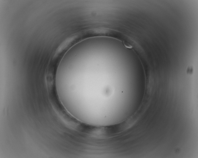 X0000114130116200910151554