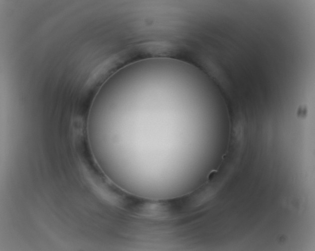 X0000114130117200910151554