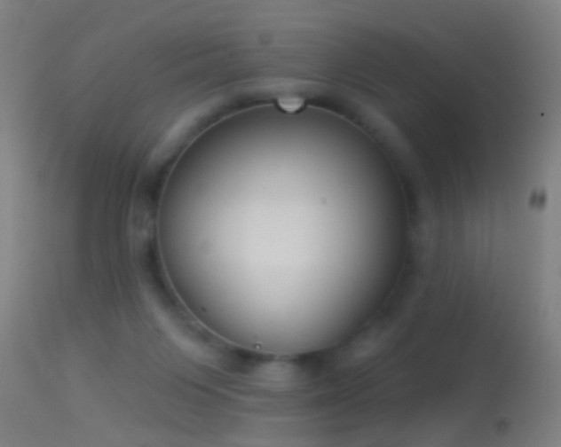 X0000114130119200910151554