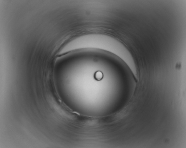 X0000114130120200910151554