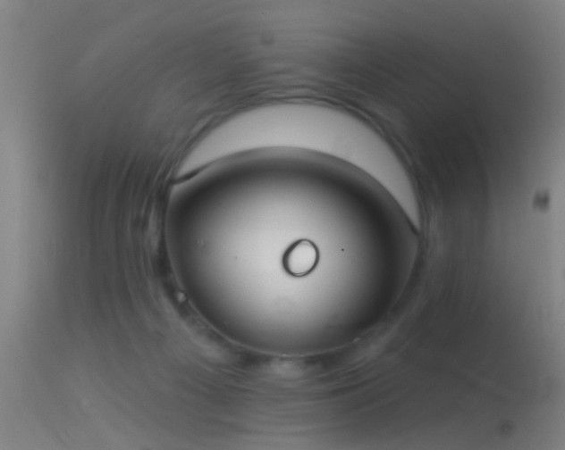 X0000114130121200910151554