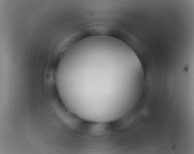 X0000114130122200910151554