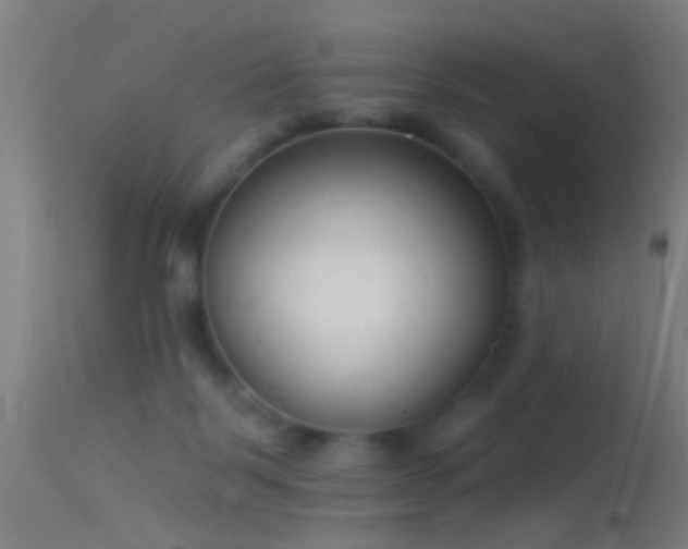 X0000114130123200910151554