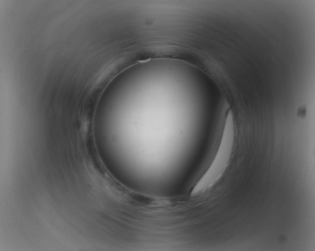 X0000114130124200910151554