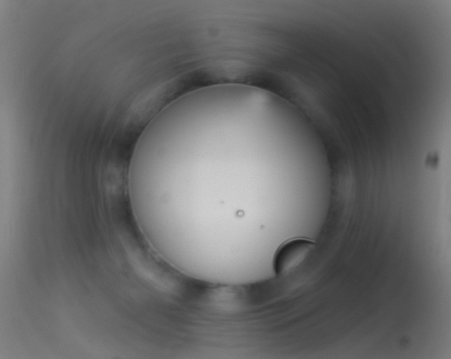 X0000114130126200910151554