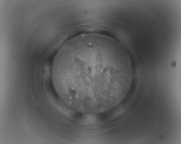 X0000114130127200910151554