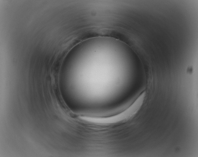 X0000114130128200910151554