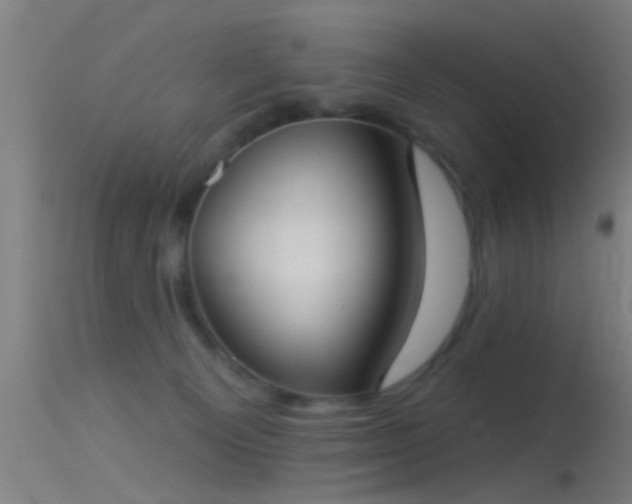 X0000114130129200910151554